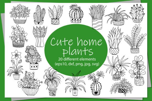 Cute Houseplants in Doodle Style